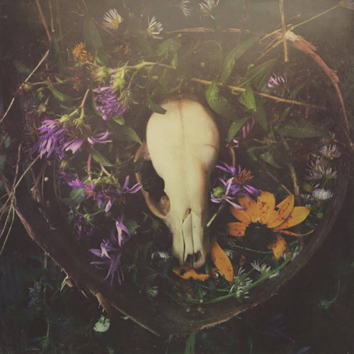 Crown Of Asteria : Pet Sematary